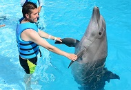 Swim with the Dolphins at Atlantis the Palm in Dubai